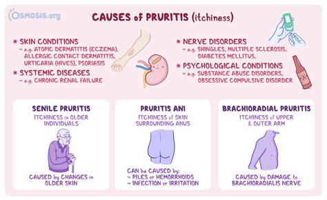 Types Of Pruritus