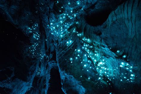 Long Exposure Photograph Of Illuminated Glowing Worms In New Zealand