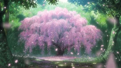 117 sakura hd wallpapers background images wallpaper abyss. Anime Cherry Blossom Wallpaper - WallpaperSafari