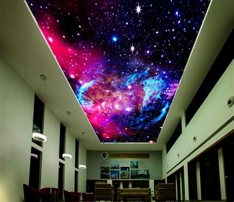 Ceiling Murals Night Sky Shelly Lighting