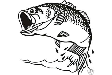 We did not find results for: Bass Boat Coloring Pages at GetColorings.com | Free ...