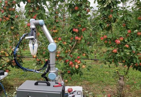 Could This Apple Picking Robot Provide A Solution To Australias Labour