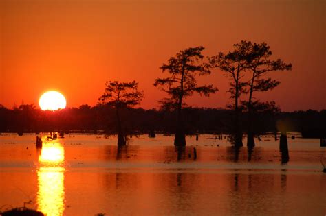 Swamp Sunset 1 This Shot Taken 1106 In Louisiana Atchafal Flickr