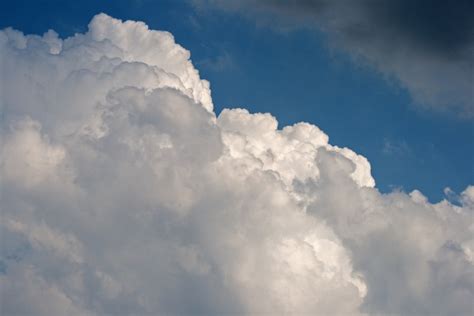 White Cumulus Cloud Free Stock Photo Public Domain Pictures