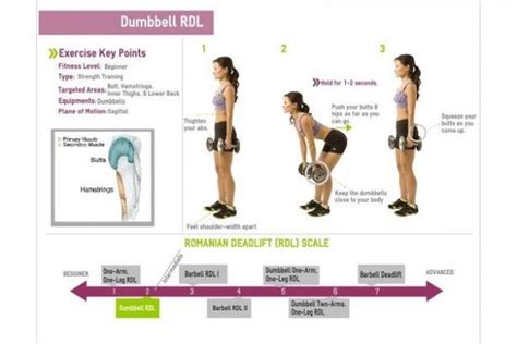 Move Of The Week Dumbbell Romanian Deadlift Purdys Wharf Fitness Club