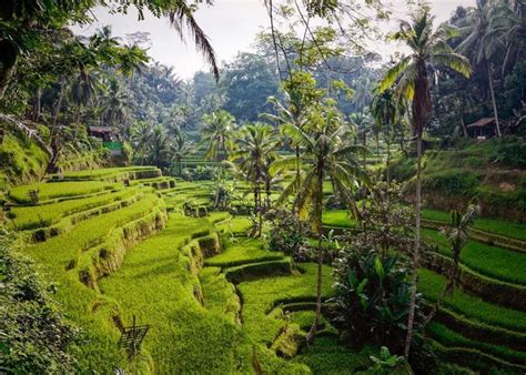 Pakej Bali 5 Tempat Paling Popular Di Bali Tumpuan Pelancong