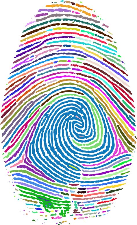 Fingerprint Footprint Clip Art Transparent Background Finger Print