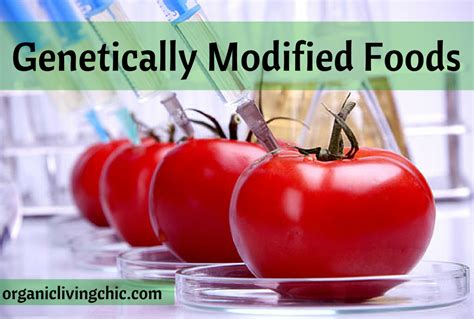 List Of Genetically Modified Foods You Should Start Avoiding Now With