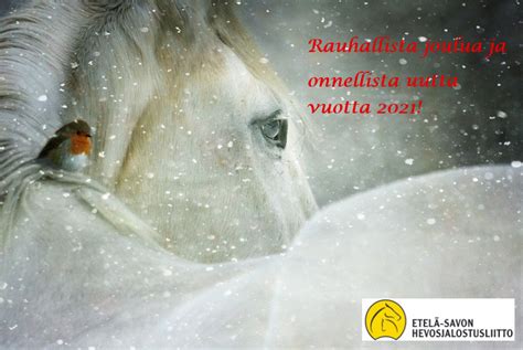 Hyvää joulua ja onnellista uutta vuotta 2021! - Etelä-Savon hevosjalostusliitto