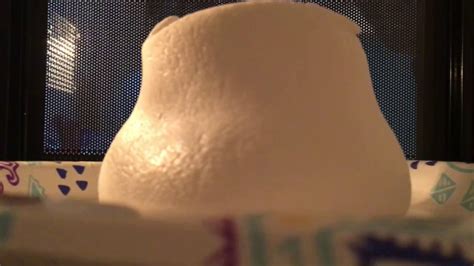 Microwaving Marshmallows Huge Youtube