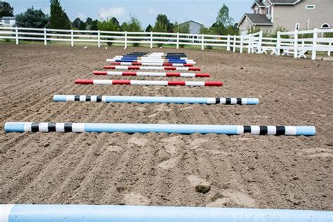 10 Ground Pole Exercises Budget Equestrian