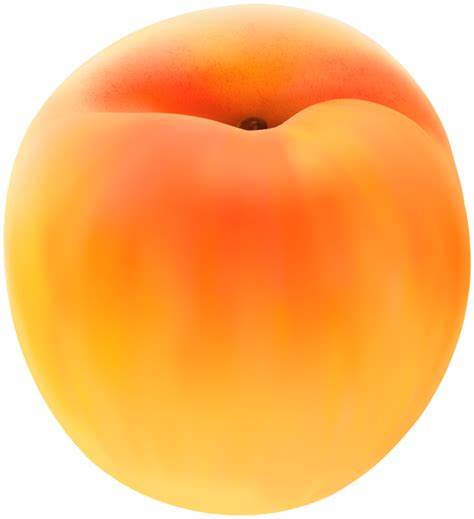 Big Apricot Png Image Transparent Image Download Size 547x600px
