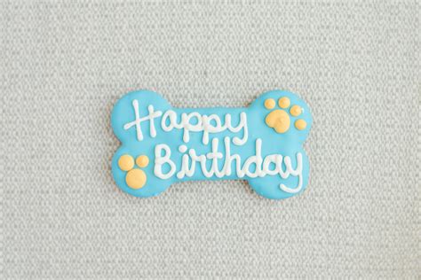 Dog Bone Birthday Cake