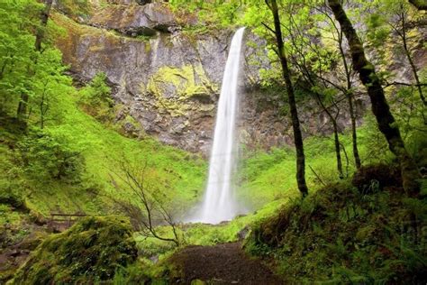 Elowah Falls In Columbia River Gorge National Scenic Area Oregon Usa