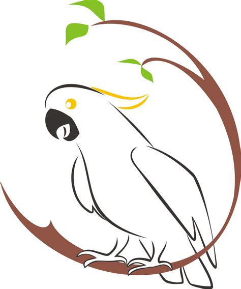 Download murai batu.png diupload masbow pada 15 july 2020 di folder image 446.91 kb. Download Logo Burung Kakatua format Vektor | Pusat Logo Vektor