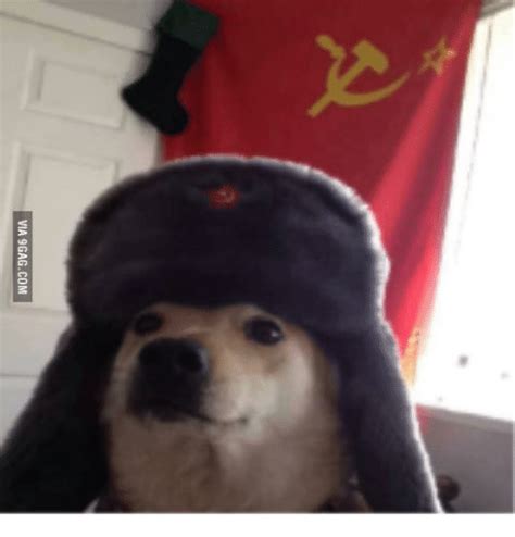 Via 9gagcom Soviet Dog Meme On Sizzle