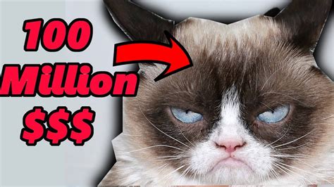 Grumpy Cat Made Over 100 Million Heres How Youtube