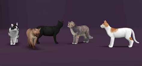 Mod The Sims Bundle Of Kittens Five Lovable Cats