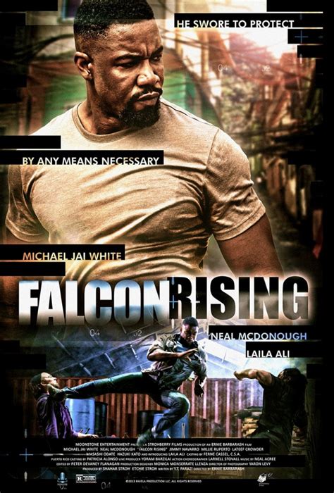 Filmy Z Michael Jai White - Falcon Rising (2014) Review | cityonfire.com