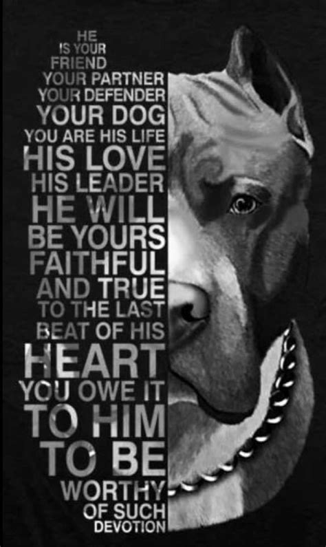 Everything About Pets Care Pitbull Terrier Pitbulls Pitbull Quotes