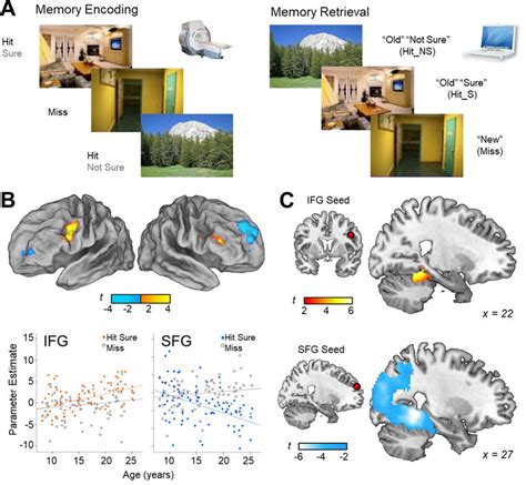 Using A Subsequent Memory Paradigm And Fmri To Map The Neural