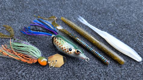 Top 5 Baits For Pond Fishing And Bank Fishing And How To Fish Them