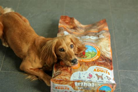 Sample buyer review… this puppy food is a hit in our home! Cool Dogs Eat Cold Pressed - Tribal TLC Dog Food review ...