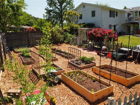 43 Raised Garden Beds Vegetables Backyards Silahsilahcom Garden