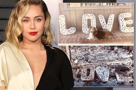 Miley Cyrus Shares Dramatic Before And After Snaps Of Her Home