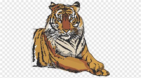 Free Download Tiger Graphics Illustration Tiger Mammal Animals Png