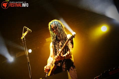 Konseri tartış, konser biletleri al, kimlerin katıldığını gör ve benzer etkinlikleri bul. NOFX op Lokerse Feesten 2019 - Dinsdag foto op Festivalinfo
