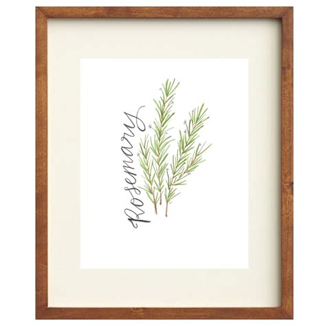 Rosemary Art Print Bri Davey