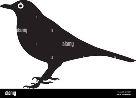 Blackbird Silhouette With Eye Stock Vector Image And Art Alamy