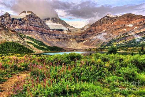 Mt Assiniboine And Lake Magog Photograph By Dj Macisaac Fine Art America