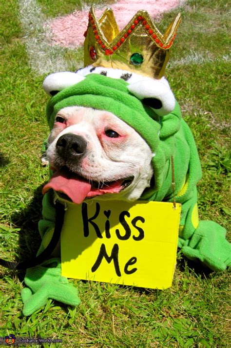 Frog Prince Costume Ideas For Dogs Easy Diy Costumes
