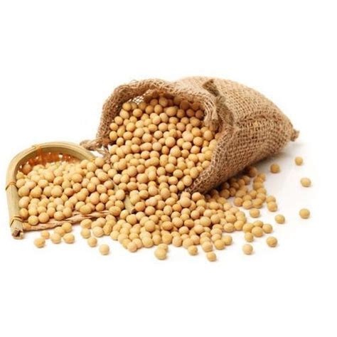 Supplier Of Soya Beans From New Delhi By Oriental Dragon India Private