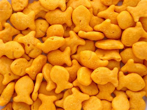 Clipart Goldfish Cracker 20 Free Cliparts Download Images On