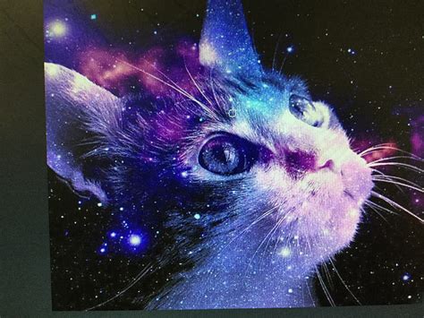 Discover More Than 65 Galaxy Cat Wallpaper Latest Incdgdbentre