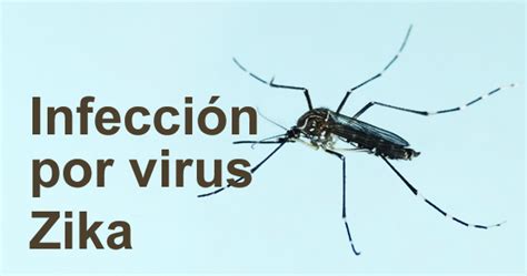 Directrices Para Prevenir La Transmisión Sexual Del Virus Zika Noticias Médicas Intramed