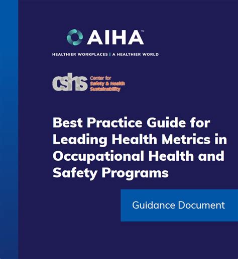 Aiha Health Metrics Guidelines Prevent Workplace Injury Illness