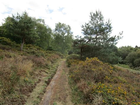 Footpath On East Budleigh Common Jonathan Thacker Geograph Britain And Ireland