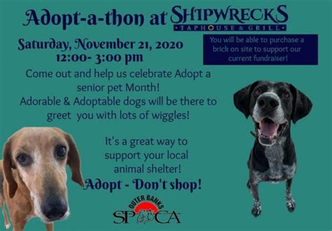 Adopt A Thon At Shipwrecks Taphouse And Grill Outer Banks Spca Outer