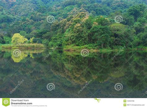 The Forest Reflection On The Lake Stock Photo Image Of Asian Exotic