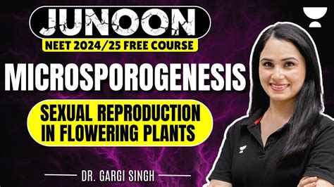 Sexual Reproduction In Flowering Plants Microsporogenesis Junoon