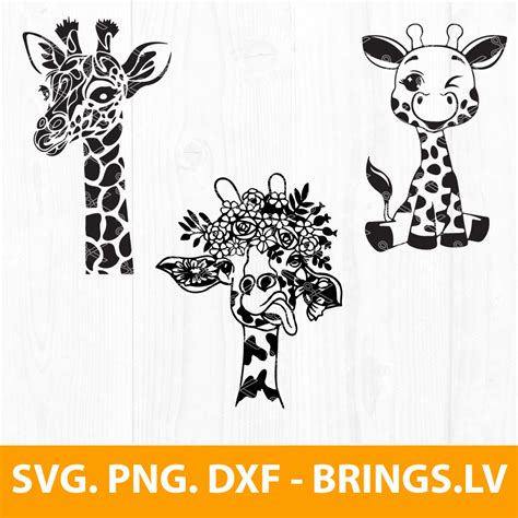 Giraffe Svg Giraffe With Flowers Svg Cute Giraffe Svg Files For Cricut