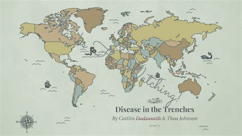 Disease In The Trenches By Caitlin Dodsworth
