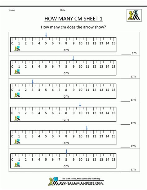 Measurement Chart Ruler With Fractions
