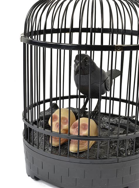 Animated Raven In Cage Halloween Birds
