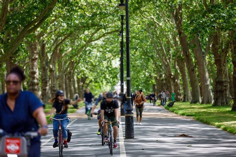 The Beginners Guide To City Cycling Greenpeace Uk