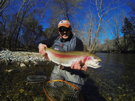 Guided Fly Fishing Trips Near Highlands North Carolina Hookers Fly